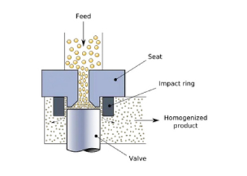 Homogenization