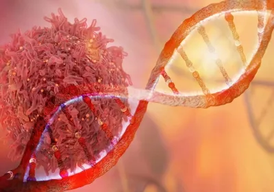 DNA-&-RNA Extraction
