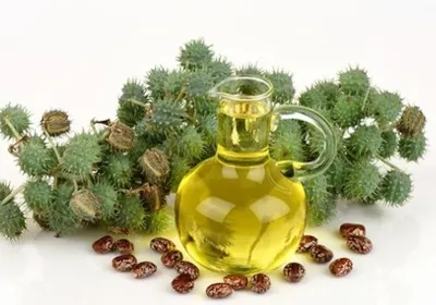 Castor Oil