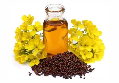 Mustard Oil