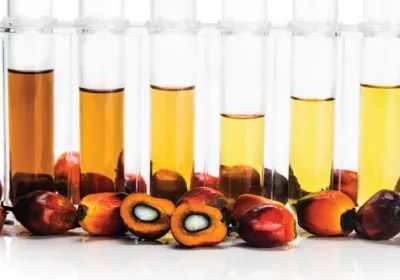 Palm-Oil Emusification