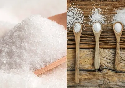 Food and Beverages Industry